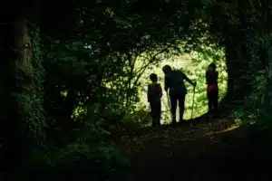 Photographe territorial, reportage sur les randonnées en sous bois une personne se tourne vers deux enfants en contre jour.