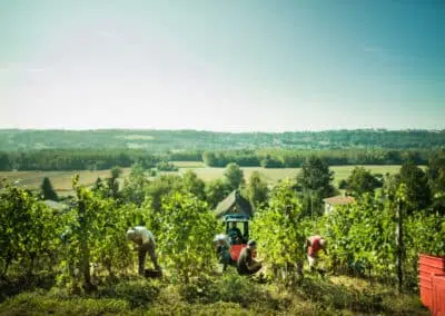 photographe tourisme création de photothèque terroir pour l'Office de Tourisme sur Saint Chef en dauphiné les vignes
