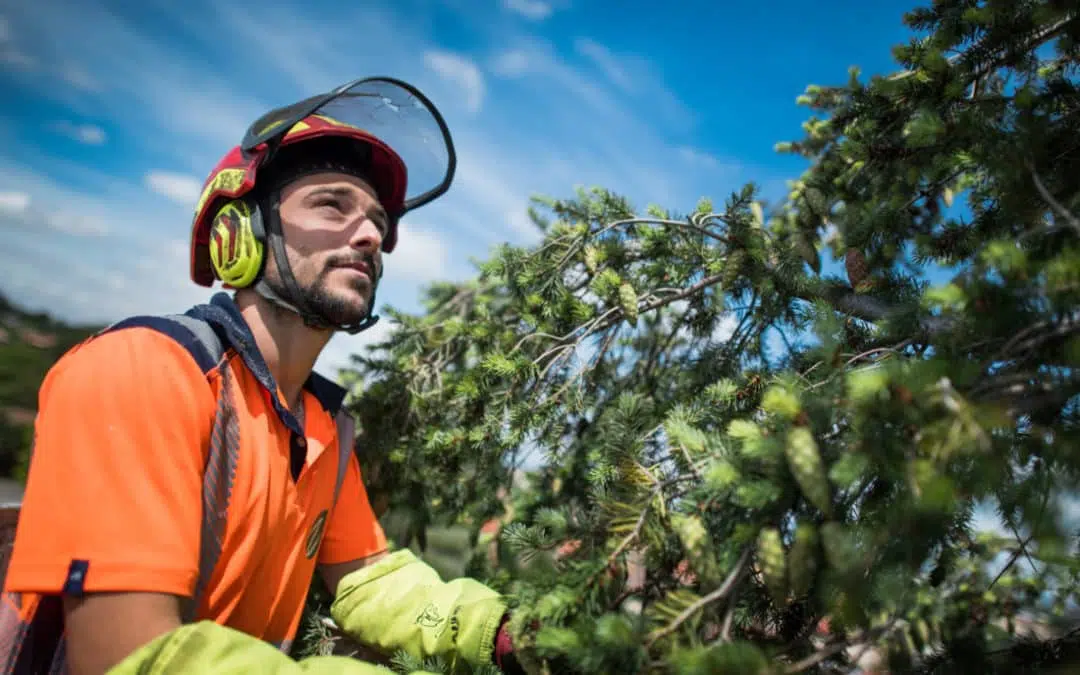 CHAZAL créateur d’espaces paysagers : un reportage photo qui met en lumière les équipes