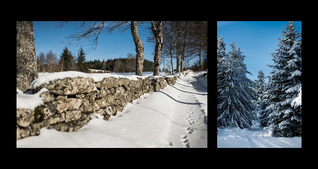 Exemple de photo nature Reportage photographique territoriale sur l'hiver pour une campagne publicitaire