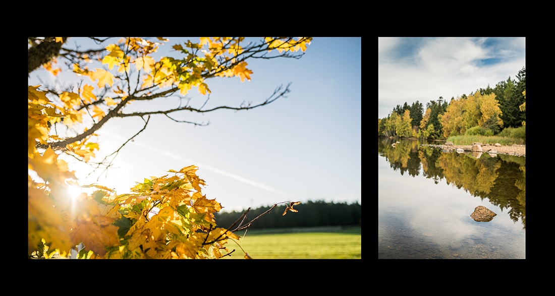 Exemple de photo nature Reportage photographique territoriale sur l'automne pour une campagne publicitaire