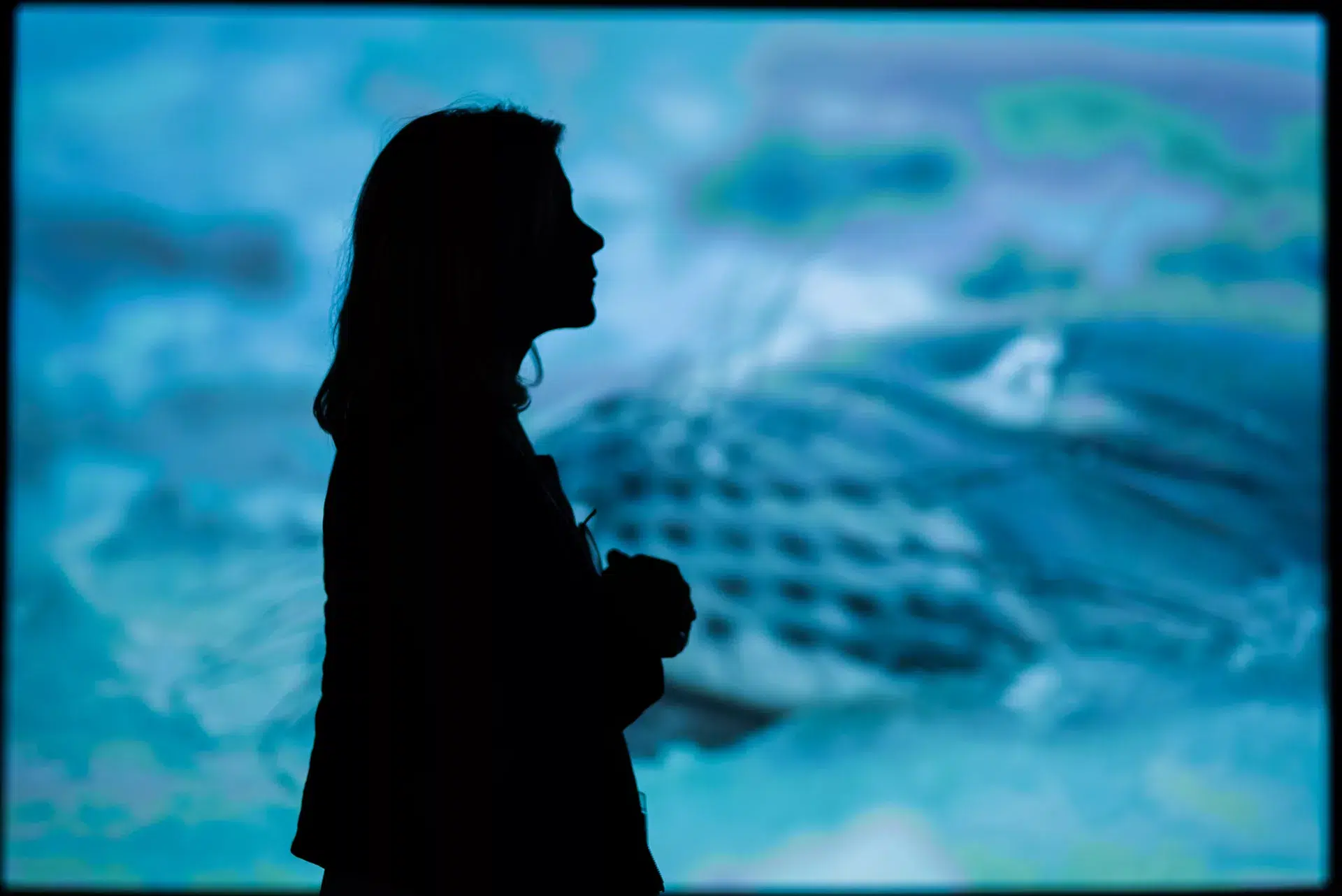 photographe-evenementiel-lyon Photographe événementiel Lyon, silhouette d'une femme lors d'une conférence plénière en entreprise.